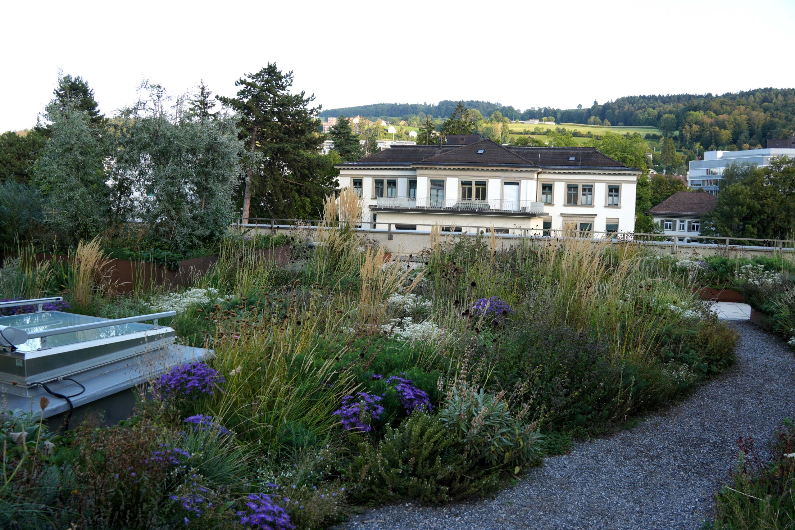 DSC08650